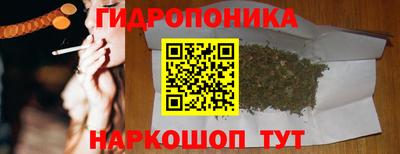 дурь Гусиноозёрск