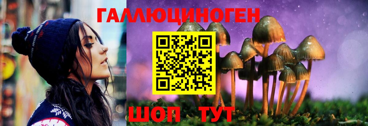 Псилоцибиновые грибы Psilocybine cubensis Нижний Тагил